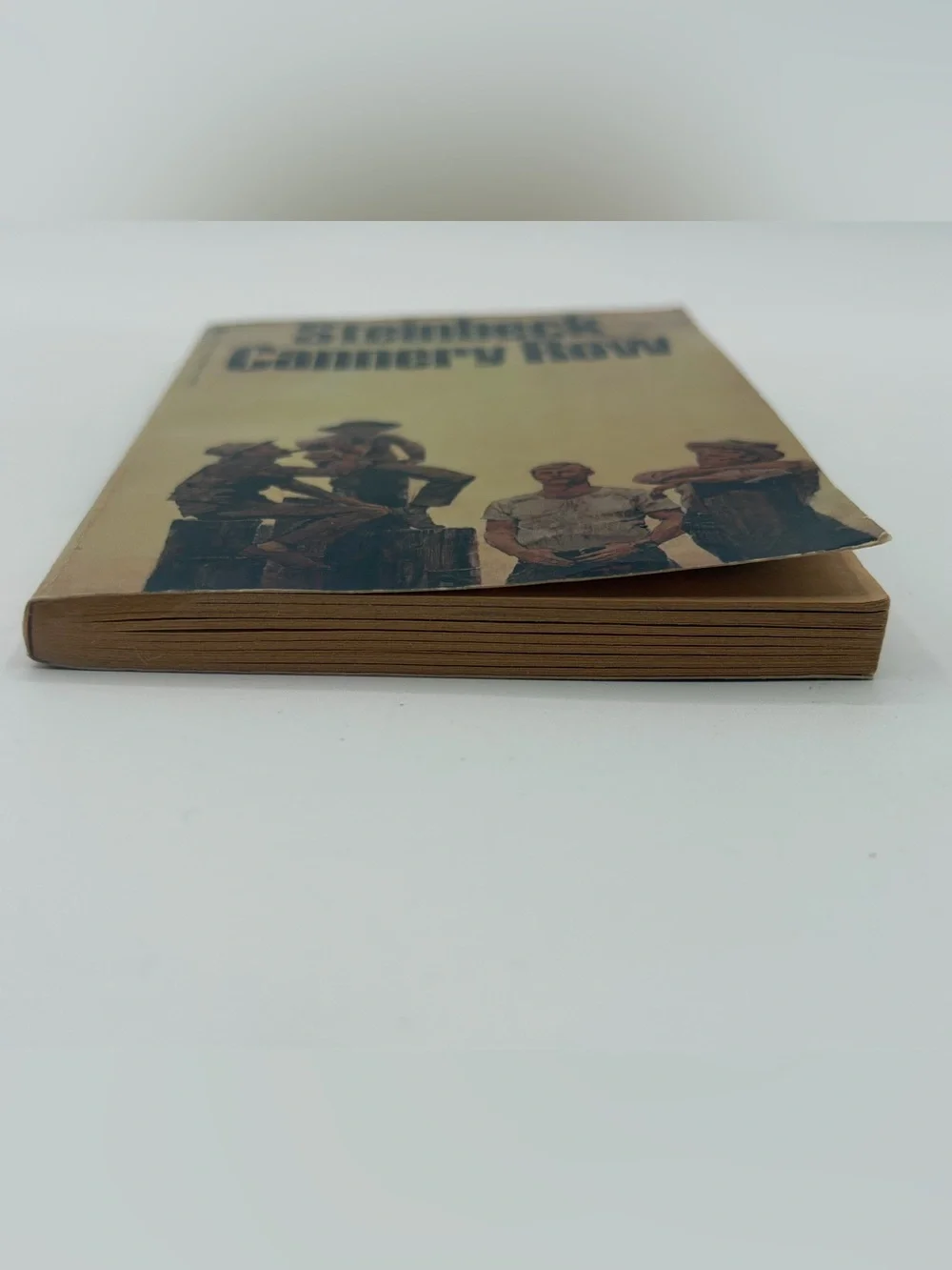Cannery Row by John Steinbeck Vintage Paperback Book 1988